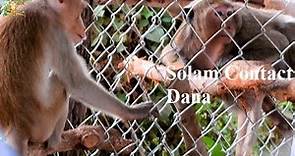 Solam seem want to talk with Dana , Dana still unhappy for a live like that |