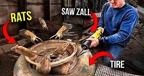 TIRE full of Rats, UNLEASHED by saw zall and vicious rat Dogs?