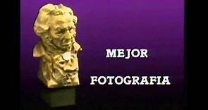 Fernando Arribas, Goya 1988 a Mejor Fotografía