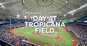 A Day at the Tropicana Field in St. Pete, Florida