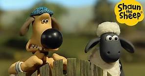 Shaun the Sheep 🐑 Bitzer and Shaun Adventure - Cartoons for Kids 🐑Full Episodes Compilation [1 hour]