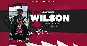 Razorback Football: Jaedon Wilson Highlights