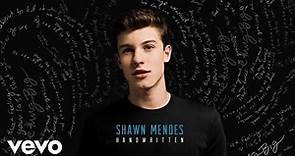 Shawn Mendes - Aftertaste (Audio)