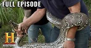 Catching Monster Snakes in Florida | Swamp People: Serpent Invasion (S1, E2) | Full Ep | History