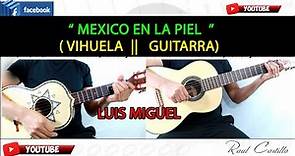 MEXICO EN LA PIEL || VIHUELA || GUITARRA