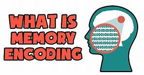 What is Memory Encoding | Explained in 2 min