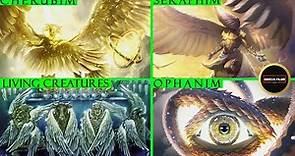 Seraphim, Cherubim, Four living Creatures & Ophanim | Different types of Angels of God in Bible