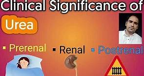 Clinical significance of Urea : Normal urea level .Causes for Increased and Decreased Urea levels.
