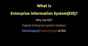 Introduction to Enterprise Information Systems