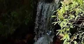 Os vídeos de Luluh (@luluh6059) com Cachoeira - Lauana Prado & Vitão