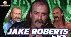 The Story of Jake "The Snake" Roberts in WCW