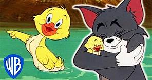 Tom y Jerry en Español | Los Mejores Momentos de Little Quacker | WB Kids