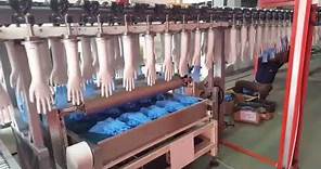 Disposable Gloves Direct Factory Supplier - PidegreeGroup