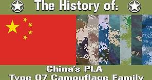 The History of China's Type 07 Digital Camouflage Family | Uniform History