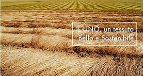 Il Lino, un tessuto Bello e Ecosostenibile