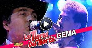 1992 - Tigres del Norte - GEMA - Jorge y Hernan Hernandez - En Vivo -