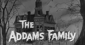 La famiglia Addams EP. 5 L'ALBERO GENEALOGICO DEGLI ADDAMS