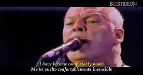 Pink Floyd - Comfortably Numb (Sub Español + Lyrics)