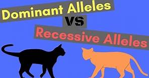 Dominant Alleles vs Recessive Alleles | Understanding Inheritance