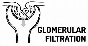 GLOMERULAR FILTRATION made easy!!