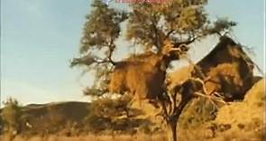 La familia suricata: Trailer: The Meerkats