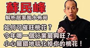 小心擺錯地毯化掉你的桃花！蘇民峰解析2022年居家風水佈局。