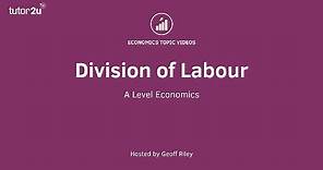 Division of Labour I A Level and IB Economics