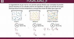 Fugacidad y Coeficiente de Fugacidad