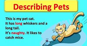 Using Adjectives to describe pets 😸 | Easy English Grammar