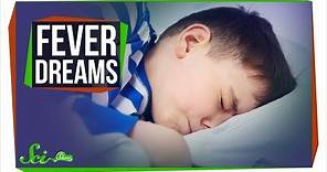 What Are Fever Dreams?