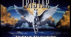 Sternin & Fraser Ink Inc./Tristar Television (1993)