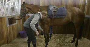 How To Tack Up A Racehorse #HorseHowTo