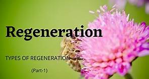 Regeneration (Part-1) | Types of Regeneration | Developmental Biology | B.Sc | MDU