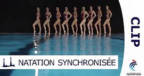 Grâce et Performance : La Natation Synchronisée par l'Equipe de France - CLIP