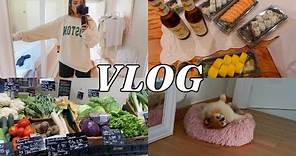 LIFE IN ITALY VLOG | Brandy Melville Haul, Como, Grocery Haul