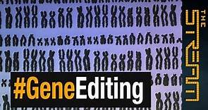#CRISPRbabies: What's the future of gene editing? | The Stream