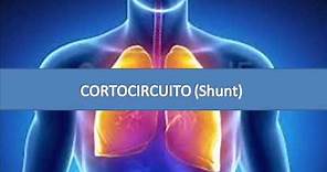 Cortocircuito - Shunt - Fisiopatología respiratoria