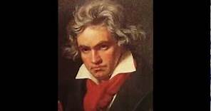 Marcha Turca - Beethoven.wmv