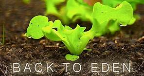 Back To Eden Gardening Documentary Film - How to Grow a Regenerative Organic Garden