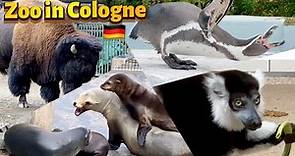 ZOOLOGICAL GARDEN, COLOGNE GERMANY #zoo | Genial Germany