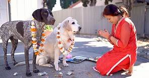 The Dog Festival | Kukur Tihar