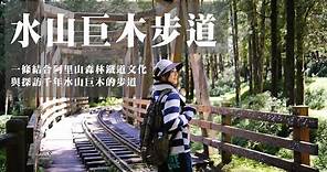 【水山巨木步道】一條結合阿里山森林鐵道文化與探訪千年水山巨木的步道