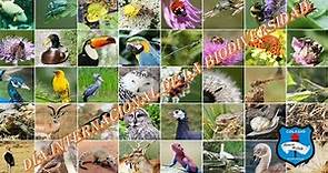 Día internacional de la biodiversidad