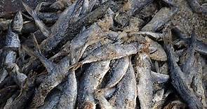 鹹魚列致癌物是一種生活習慣預警　這些危險因子相加才可怕 | ETtoday健康雲 | ETtoday新聞雲