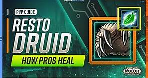 Resto Druid Shadowlands PvP Guide | How Pros Heal