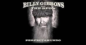 Billy Gibbons - Pickin' Up Chicks On Dowling Street from Perfectamundo