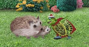Watch Wonder Pets Season 1 Episode 15: Wonder Pets - Save the Hedgehog ...