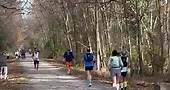Charlie Lawrence’s 50 mile... - Tunnel Hill 100/50 mile runs