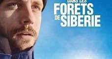 In the Forests of Siberia (2016) Online - Película Completa en Español - FULLTV