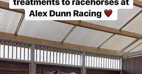 Charlie Hurst, Type 1 Diabetic Runner on Instagram: "A day spent treating racehorses today in Taunton. I love helping these horses feel and perform at their best. #chiropractic #chiropractor #horsechiropractic #racehorses #thoroughbreds #horsewelfare #horsecare #britishracing #britishhorseracing #horseracing #flatracing #nationalhunt #jumpracehorses #flatracehorses #horsesintraining #trainingwinners #lifeasaracehorse #ilovemyjob #helpinghorses #lookingafterhorses #thehorsecomesfirst #equineathle